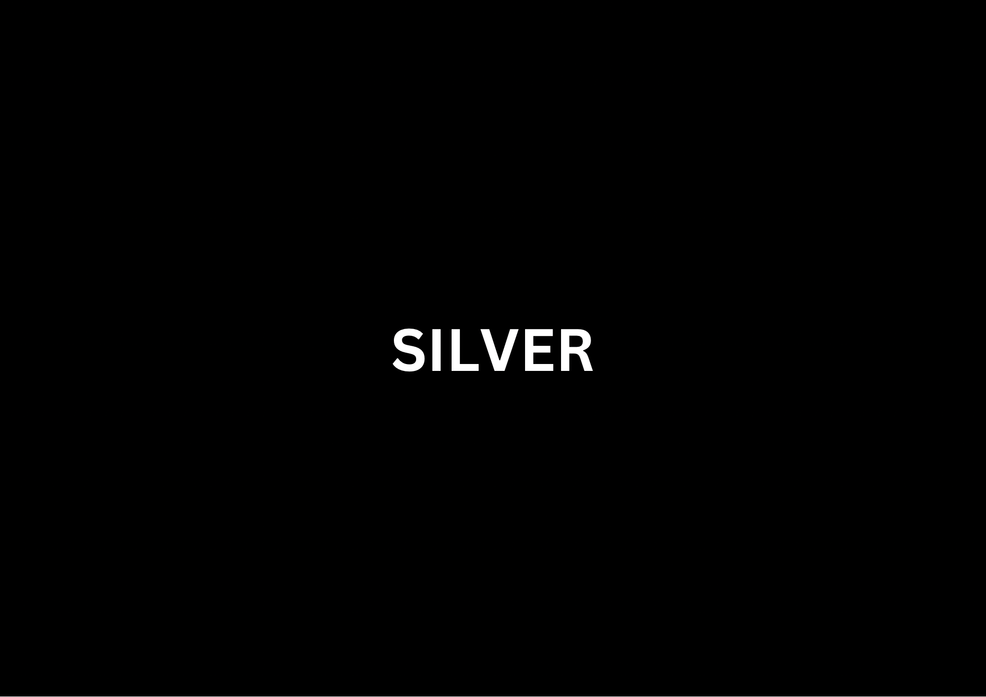 Website Development Silver