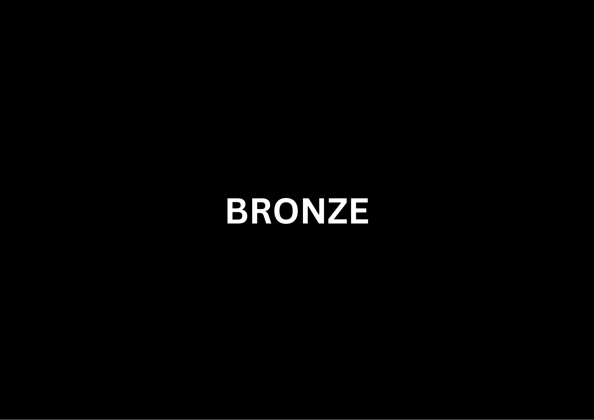 Website Development Bronze